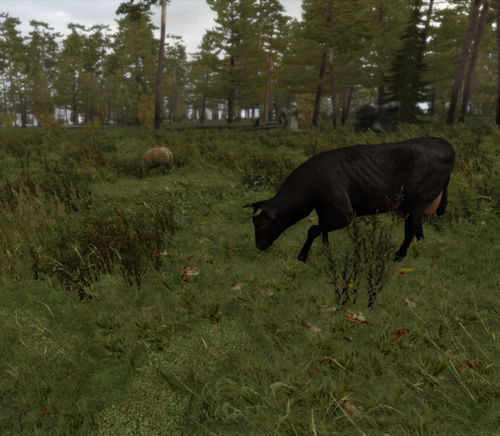 A sheep and a cow - excellent forage for your unit.